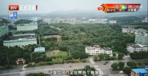 北京卫视《养生堂》带您走进医药集团